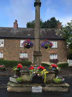 Churchtown in Bloom